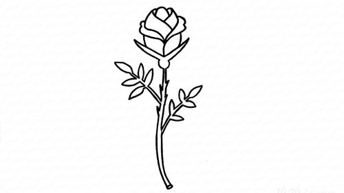 Как легко нарисовать красивую розу карандашом
